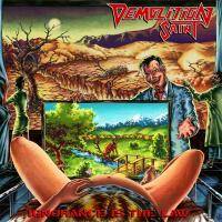 Demolition Saint : Ignorance Is the Law